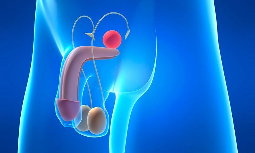 edema da próstata con prostatite